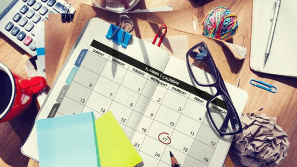 Stay Organized